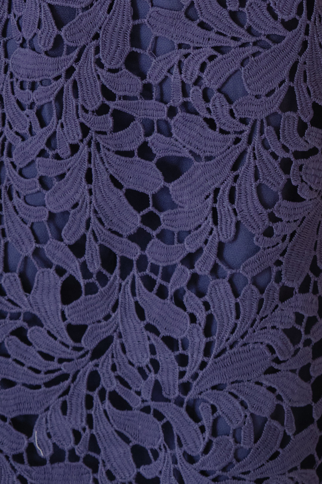 Chixxie Clara Lace Dress (Navy)