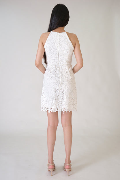 Chixxie Clara Lace Dress (White)